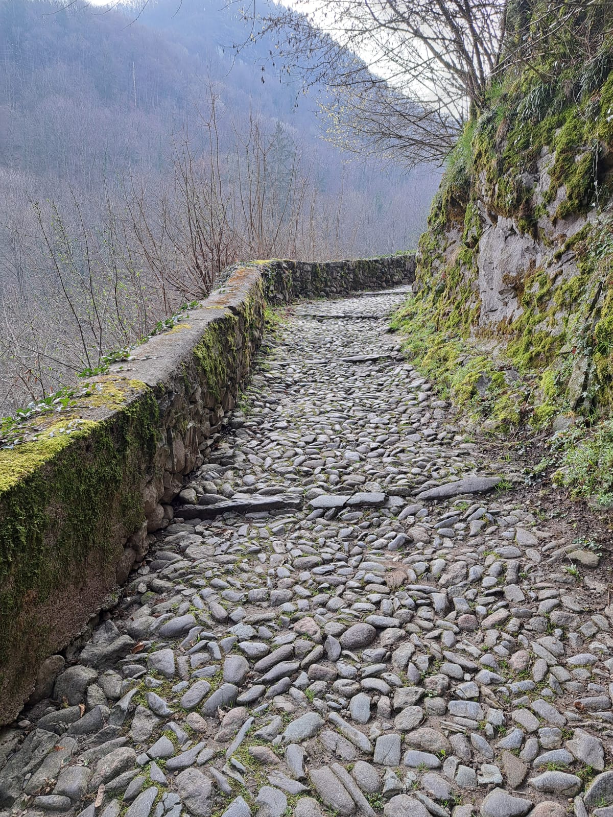 Primo tratto della via Mercatorum che porta al borgo medioevale di Camerata di Cornello