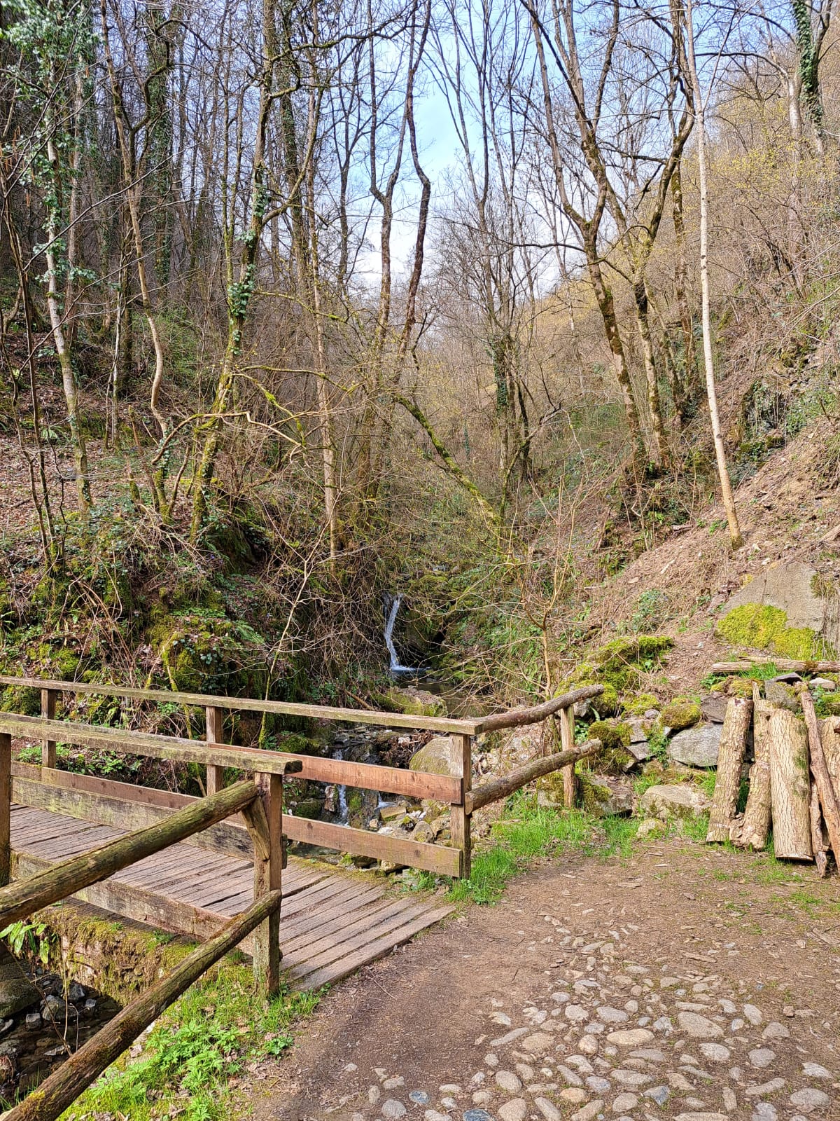 Seconda parte della via Mercatorum nel bosco che collega il borgo medioevale con il borgo di Oneta