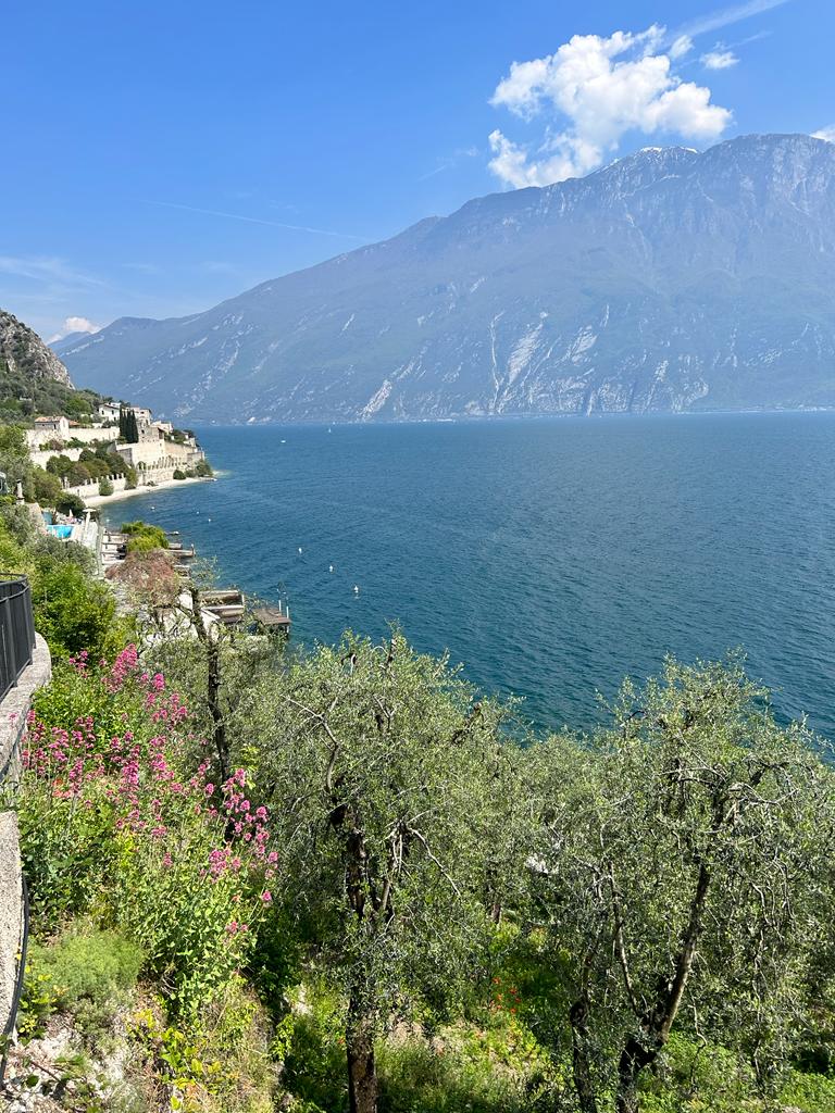 Panorama dalla pista ciclabile sul Garda